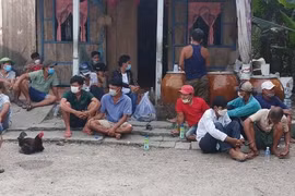 Bắt quả tang 28 đối tượng kiếm tiền xài Tết bằng cách đá gà