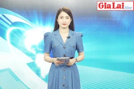 Gia Lai 48h: Gia Lai hỗ trợ doanh nghiệp phát triển bền vững