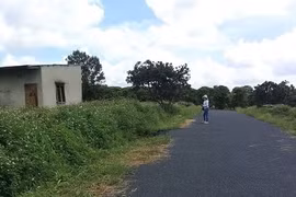 Sốt đất vì "đón gió"