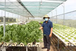 Đẩy mạnh ứng dụng khoa học công nghệ vào sản xuất nông nghiệp