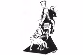 Đau đầu với nạn trộm chó