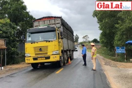 Kiểm soát tải trọng xe chở mía tại khu vực phía Đông tỉnh