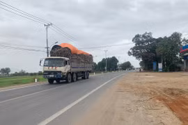 Gia Lai kiên quyết xử lý xe chở mía quá khổ, quá tải