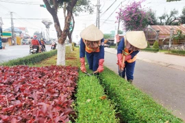 Đô thị Chư Sê thay áo mới đón Tết