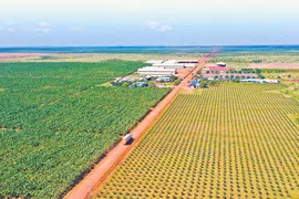 Dấu ấn Việt trên cao nguyên Boloven