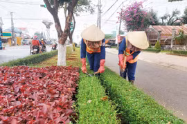 Đô thị Chư Sê thay áo mới đón Tết