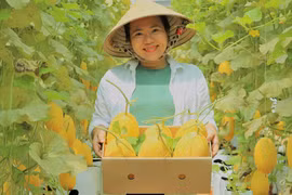 Nữ kế toán mê nông nghiệp sạch