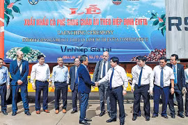 Trỗi dậy miền đất bazan