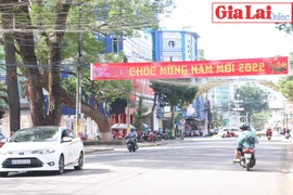 Gia Lai đón năm mới vui tươi, an toàn