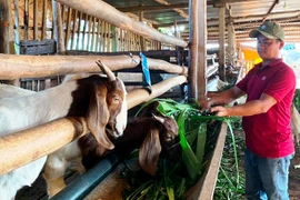 Nguyễn Văn Quý: Không chỉ làm giàu cho bản thân