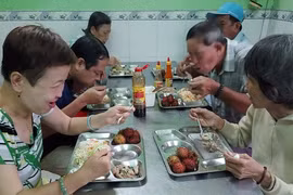 Nhịp đời thân quen