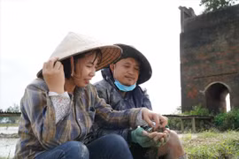 Gieo giấc mơ bên 'lò gạch cũ'