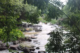 Buôn Đôn, bình minh trên mái nhà sàn…