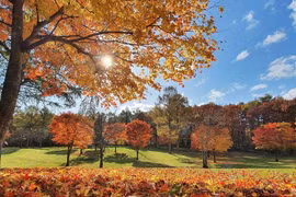 Công dân những nước nào ở Đông Nam Á du lịch Nhật Bản không cần visa?