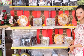 Tuần lễ hoa dã quỳ-núi lửa Chư Đang Ya 2022: Cơ hội quảng bá, tiêu thụ nông sản