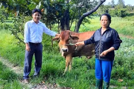 Bộ Tài chính trả lời cử tri Gia Lai về phân bổ kinh phí thuộc Chương trình mục tiêu quốc gia giảm nghèo bền vững