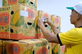 Lâm Đồng xuất khẩu hơn 70 tấn sầu riêng đầu tiên sang Trung Quốc