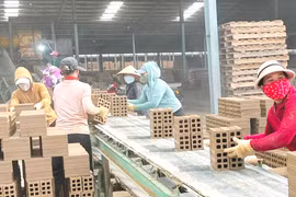 Gia Lai quan tâm thực hiện pháp luật về an toàn vệ sinh lao động