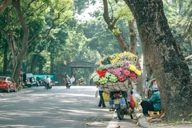 Đẹp nao lòng Hà Nội vào thu