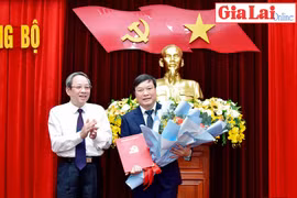 Đồng chí Trương Hải Long giữ chức Phó Bí thư Tỉnh ủy Gia Lai