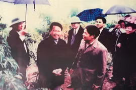 Mưu sinh trên hồ Hòa Bình: Gặp 'vua' Đảo Dừa