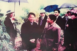 Mưu sinh trên hồ Hòa Bình: Gặp 'vua' Đảo Dừa