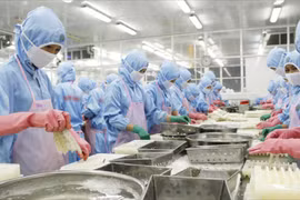 Nuôi dưỡng doanh nghiệp nội