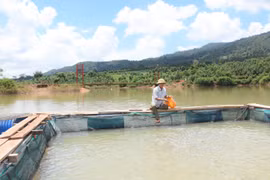 Khai thác lợi thế mặt nước để nuôi trồng thủy sản