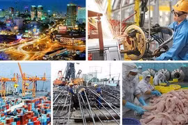 Điểm sáng kinh tế Việt Nam