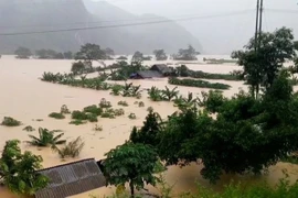 Chủ động phòng ngừa, ứng phó thiên tai những tháng cuối năm