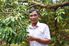 Cựu chiến binh 2 giỏi ở Tân Thủy