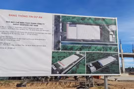 Vụ sập tường 5 người chết ở Bình Định: Chủ công trình là ai?