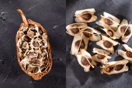 Lợi ích của hạt chùm ngây đối với bệnh tim mạch