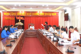 Đại hội Đoàn TNCS Hồ Chí Minh tỉnh Gia Lai lần thứ XV dự kiến diễn ra từ 12 đến 14-10