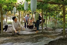 Đánh giá đúng vai trò của kinh tế tập thể