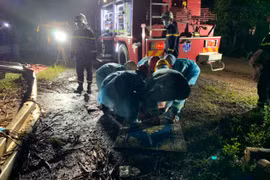 Quảng Trị: Lật xe tải khi đổ đèo, tài xế tử vong mắc kẹt trong cabin