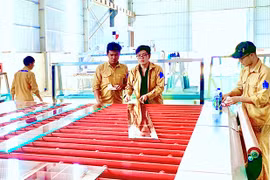 Gia Lai trải "thảm đỏ" mời gọi đầu tư các dự án công nghiệp chế biến