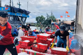 Thừa Thiên Huế dự trữ 200 tấn gạo, mì ăn liền, cấm biển từ 25-9 ứng phó bão Noru