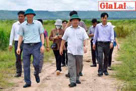 Phó Bí thư Thường trực Tỉnh ủy làm việc với hệ thống chính trị xã Đak Trôi