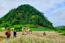 Đi phượt ở Hà Giang mùa này có gì hay?