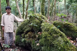 Chuyện kể từ đại ngàn - Bài 1: Bí ẩn "thuốc giấu"