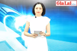 Gia Lai 48h: "Cầu nối" giúp hợp tác xã vay vốn phát triển sản xuất kinh doanh
