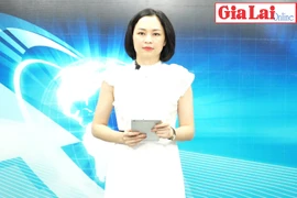 Gia Lai 48h: "Cầu nối" giúp hợp tác xã vay vốn phát triển sản xuất kinh doanh