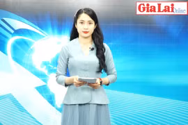 Gia Lai 48h: Khởi tố vụ khai thác trái phép hơn 5 m3 gỗ