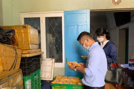 Gia Lai: 10 cơ sở vi phạm an toàn thực phẩm bị phạt 39,8 triệu đồng