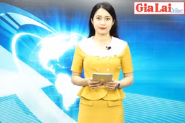 Gia Lai 48h: Xăng dầu hạ giá nhưng giá hàng hóa vẫn cao