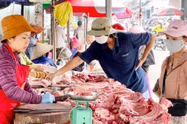 Giá heo hơi giảm tại nhiều địa phương