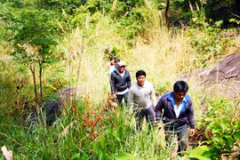 Gia Lai: Nhiều bất cập trong quản lý rừng ở cấp xã