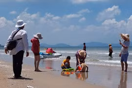 Cầm cự giữa thời 'seo phi'