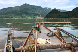 Mưu sinh trên hồ Hòa Bình, bài 2: Săn loài cá lạ